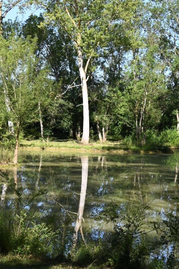 Отель Domaine De Boulouch Лектур Экстерьер фото